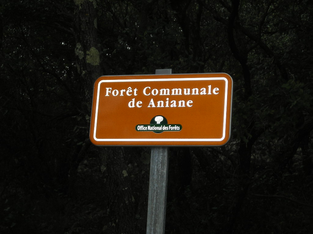 Forêt communale d'Aniane