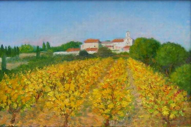 Hérault - vigne